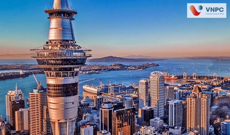 King888shop link không bị chặn New Zealand 